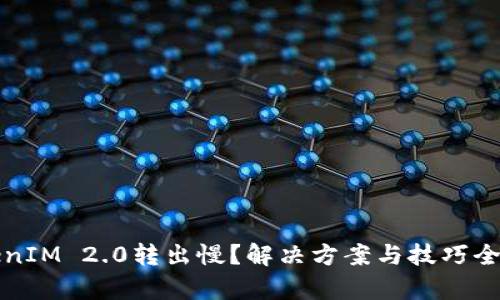 TokenIM 2.0转出慢？解决方案与技巧全解析