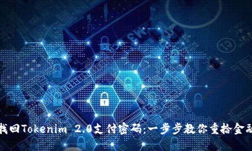 如何找回Tokenim 2.0支付密码：一步步教你重拾金融安全
