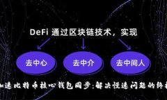 如何加速比特币核心钱包同步：解决慢速问题的