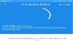 探索TokenIM 2.0钱包的高级选项：解锁加密世界的新