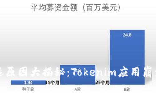 苹果手机闪退原因大揭秘：Tokenim应用崩溃的背后故事