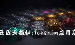 苹果手机闪退原因大揭秘：Tokenim应用崩溃的背后