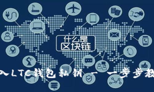 如何安全导入LTC钱包私钥 - 一步步教你不再迷路