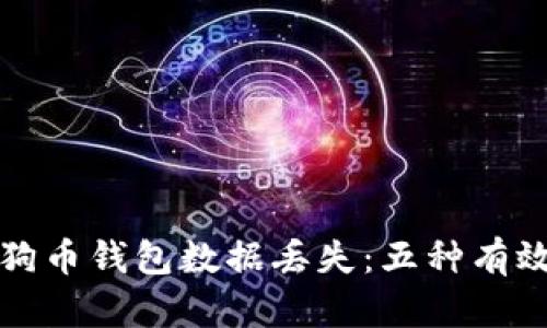 如何应对狗狗币钱包数据丢失：五种有效的恢复方案