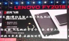 在讨论“tokenim怎么没有观察钱包”这个问题之前