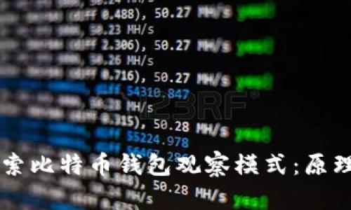 深入探索比特币钱包观察模式：原理与应用