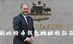 : 全面解析比特币钱包地址特征及其安全性