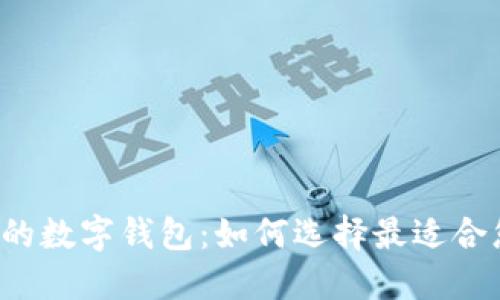 深入了解XLM的数字钱包：如何选择最适合您的XLM钱包？