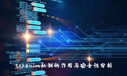 tokenim私钥的作用与安全性分析