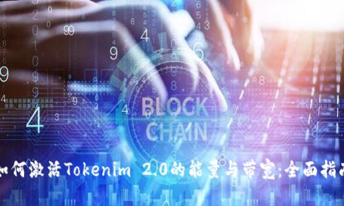如何激活Tokenim 2.0的能量与带宽：全面指南