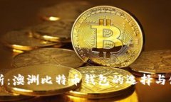 全面解析：澳洲比特币钱包的选择与使用指南