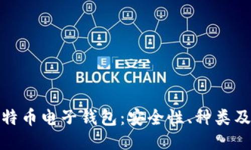 : 揭秘比特币电子钱包：安全性、种类及使用方法