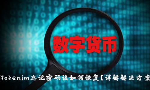 Tokenim忘记密码该如何恢复？详解解决方案