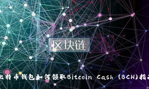 比特币钱包如何领取Bitcoin Cash (BCH)指南
