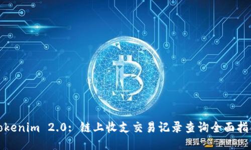 Tokenim 2.0: 链上收支交易记录查询全面指南