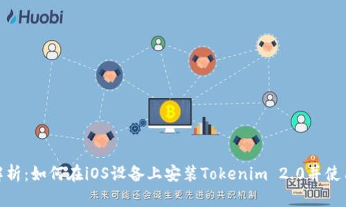 全面解析：如何在iOS设备上安装Tokenim 2.0并使用体验
