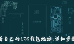   如何查看自己的LTC钱包地